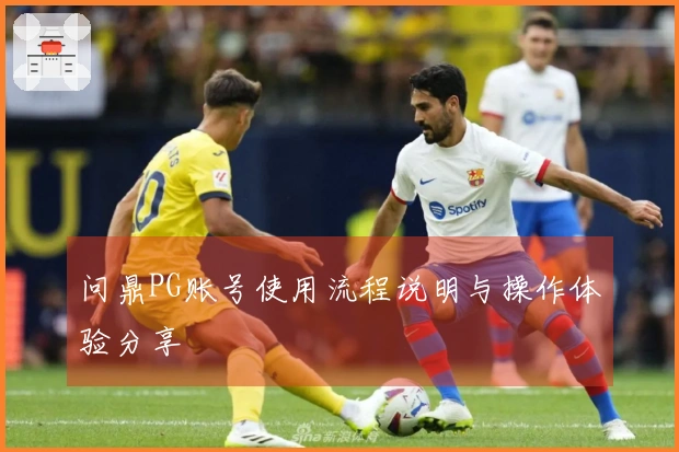 问鼎PG账号使用流程说明与操作体验分享